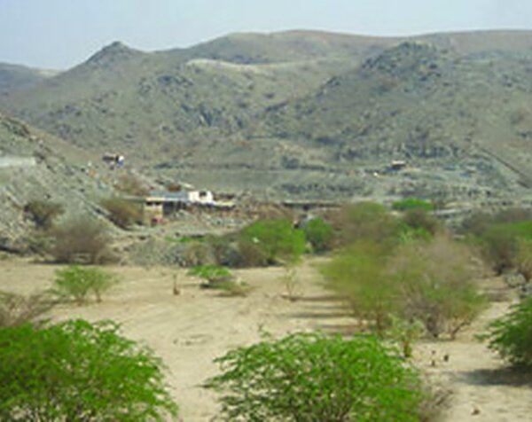 Al-Aseela and Al-Ji'ranah Project