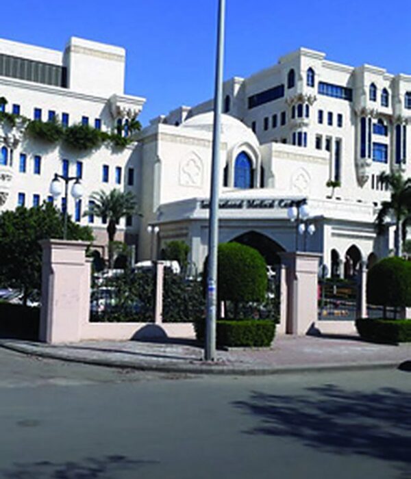 International Medical Center Project