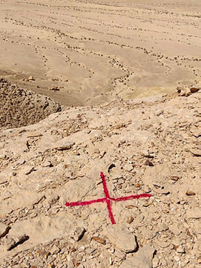 Al-Qiddiya Project – FalconViz (1)