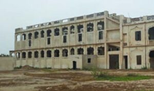 Royal Palaces Survey