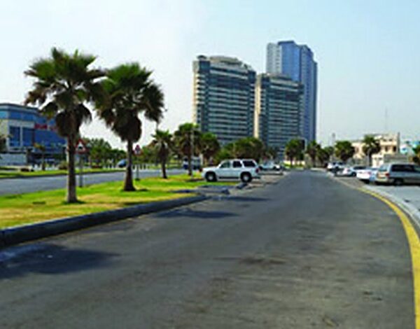 Southern Province Cement Survey